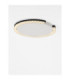 Greamy Decorative Flush Ceiling Light Sandy Black Triac Dimmable LED 21W 1365lm 3000K-4