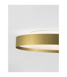 Roi Flush Ceiling Light Brushed Gold Triac Dimmable LED 48W 3724lm 2700-3000K CCT-2