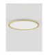 Aoton Integrated LED Semi Flush Ceiling Light Brushed Gold Triac Dimmable LED 55W 4661lm 2700-3000K CCT-3
