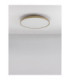 Linus Flush Ceiling Light Champagne Gold Dimmable LED 50W 3741lm 2700-4000K-4