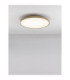 Linus Flush Ceiling Light Champagne Gold Dimmable LED 50W 3741lm 2700-4000K-5