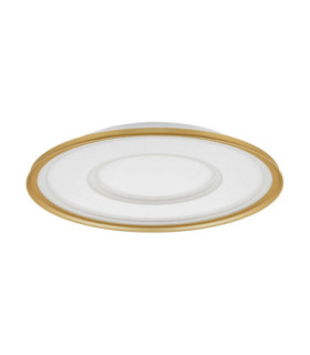 Figin Integrated LED Semi Flush Ceiling Light Sandy Gold Dimmable LED 40W 2244lm 2700 -5000K CCT Remote Control-1