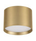 Ziaza Surface Mounted Downlight Matt Gold LED 17W 833lm 3000K-1