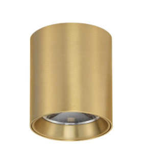 Iris Surface Mounted Downlight Matt Gold LED 10W 700lm 3000K-1