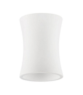 Pelia Surface Mounted Downlight White GU10 1x10W-1