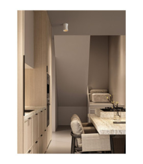 Pelia Surface Mounted Downlight White GU10 1x10W-2