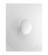 Alida Flush Wall Lamp / Triac Dimmable LED 20W 1000lm 3000K-4
