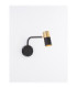Pongo Reading Wall Light Sandy Black Gold GU10 1x10W-4