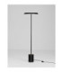 Ophelia LED Integrated Floor Lamp Matt Black/Veneer LED 27W 2199lm 3000K-3