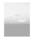 Ventra Ceiling Fan Sandy White Matt White Matt White ABS Blades 6 Speeds DC Motor 45W-3