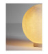 Moon 30cm Outdoor Spike White E14 1x5W IP65-5