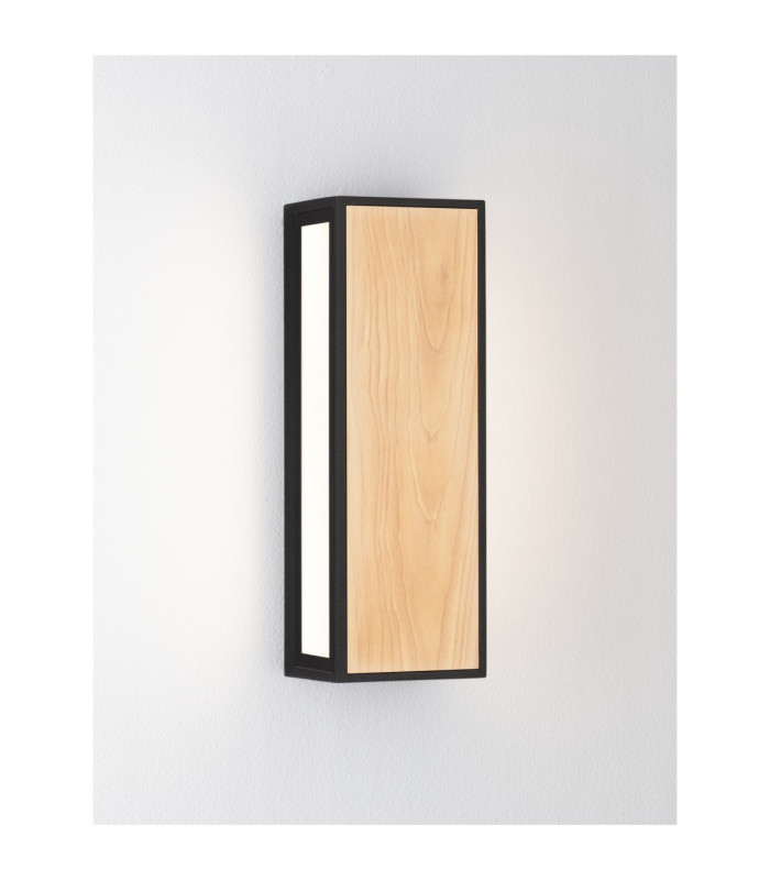 Astral Outdoor Modern Wall Lamp Dark Anthracite LED 10W 192lm 3000K IP65-3