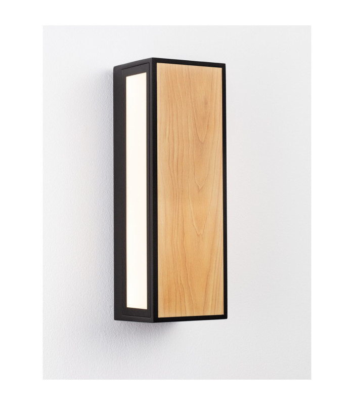 Astral Outdoor Modern Wall Lamp Dark Anthracite LED 10W 192lm 3000K IP65-7