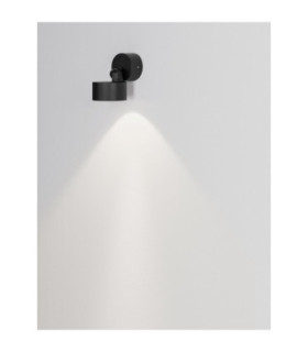 Helmet Outdoor Wall Down Lamp Dark Anthracite LED 10W 831lm IP65 3000K-2