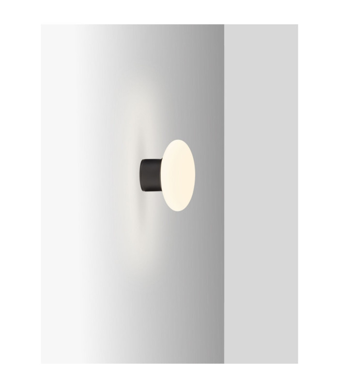 Ali Outdoor Globe Wall Lamp Dark Anthracite LED 6W 644lm IP65 3000K-4