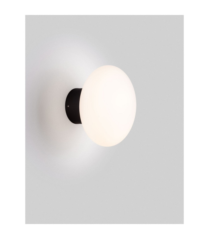 Ali Outdoor Globe Wall Lamp Dark Anthracite LED 6W 644lm IP65 3000K-5