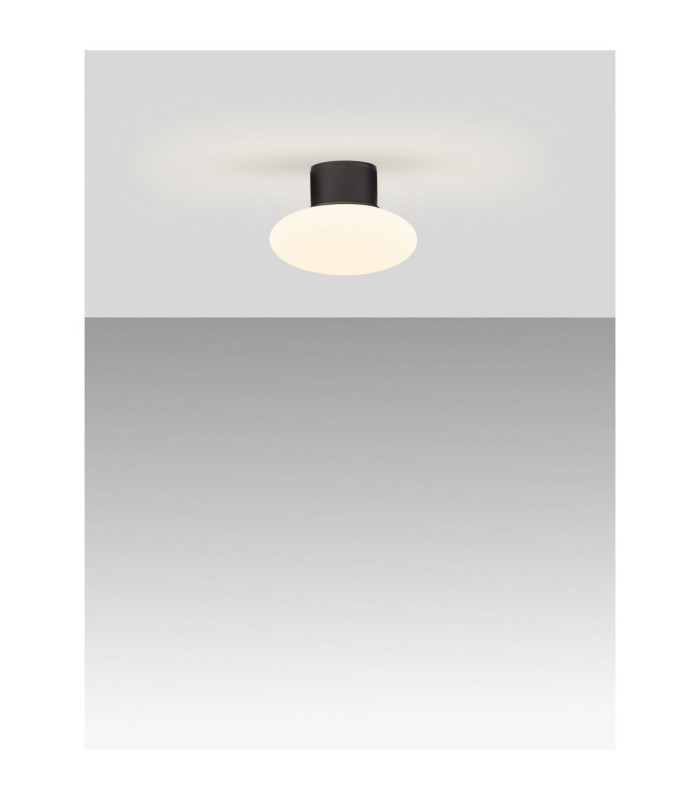 Ali Outdoor Globe Wall Lamp Dark Anthracite LED 6W 644lm IP65 3000K-8