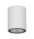 Lumina Outdoor Surface Mounted Downlight Sandy White LED 9W 716lm 3000K IP65-1