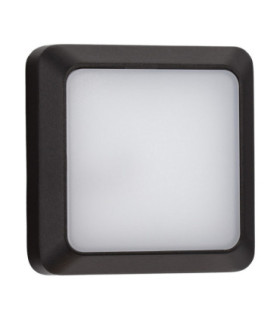 Appia Outdoor Flush Wall Lamp Dark Anthracite LED 5W 367lm 3000K IP54-1