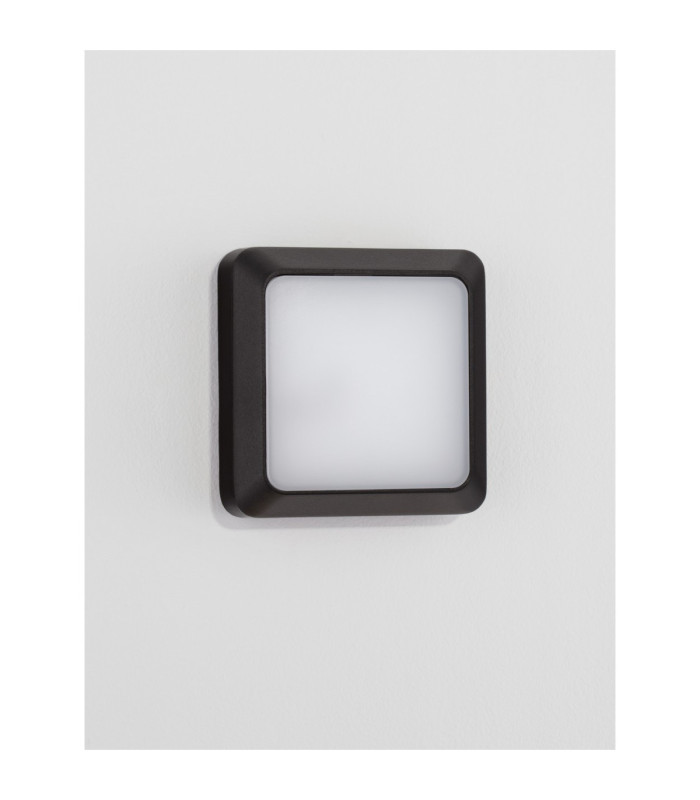 Appia Outdoor Flush Wall Lamp Dark Anthracite LED 5W 367lm 3000K IP54-4