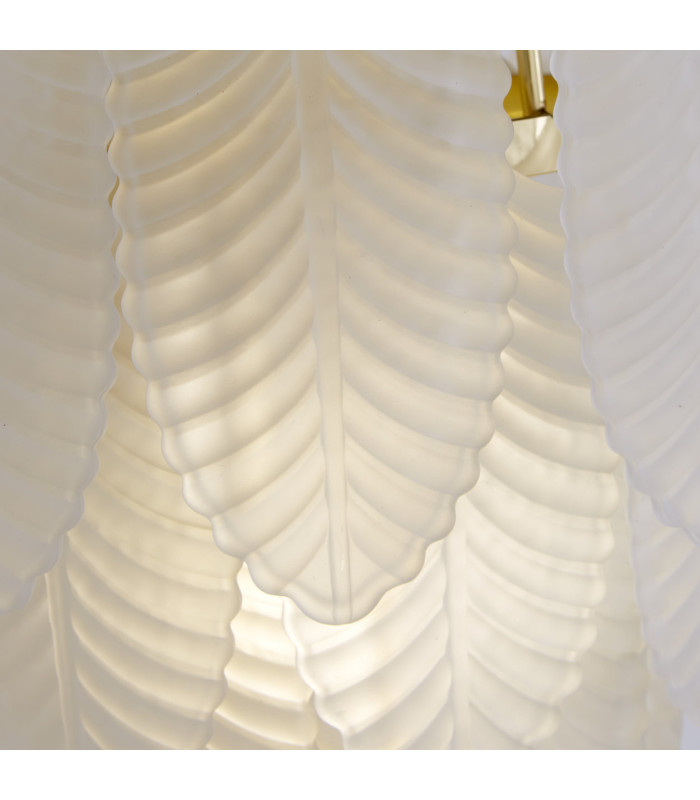 Feather Wall Light Polished Brass Frosted Feather Glass 6x E14-5