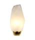 Rocky Wall Light Satin Brass & Glass IP44 x G9-1