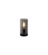 Broughton Table Lamp Smoked Glass 1x E14-3