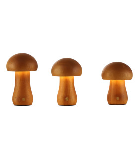 Asher Set Of 3 Rechargeable Table Lamps-1