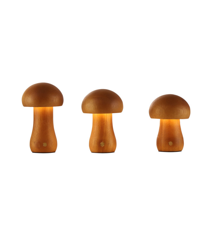 Asher Set Of 3 Rechargeable Table Lamps-3
