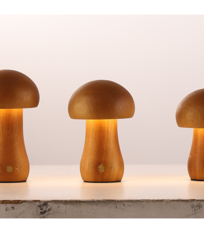 Asher Set Of 3 Rechargeable Table Lamps-5