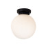 Vanity Flush Globe Ceiling Light with Opal Ball Matt Black IP44-1