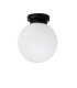 Vanity Flush Globe Ceiling Light with Opal Ball Matt Black IP44-3