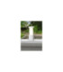 Carlo 250mm Clear LED 3.5W Bollard Post Light Grey IP55-2