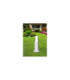 Carlo 400mm Clear LED 3.5W CCT Bollard Post Light Grey IP55-2