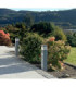 Elisa 800mm Clear LED 10WCCT Bollard Post Light Grey IP55-2