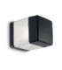 Elisa Clear LED 10W CCT Wall Light Black IP55