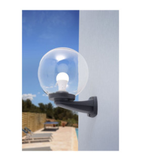 Nardo Clear 250mm Globe Wall Globe Light Black IP55