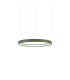 Rio 55cm Integrated LED Pendant Ceiling Light Olive Green 4000K-1