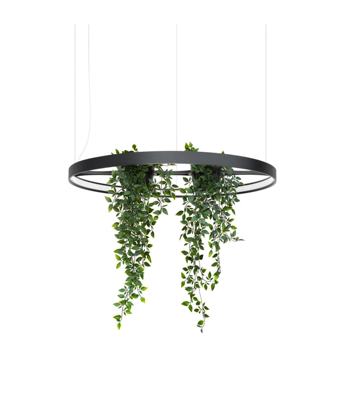 Rio Bio 78cm Integrated LED Pendant Ceiling Light Black 3000K-1