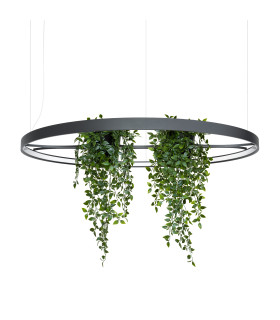 Rio Bio 110cm Integrated LED Pendant Ceiling Light Black 3000K-1