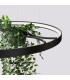 Rio Bio 78cm Integrated LED Pendant Ceiling Light Black 4000K-5