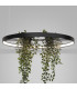 Rio Bio 78cm Integrated LED Pendant Ceiling Light Black 4000K-9