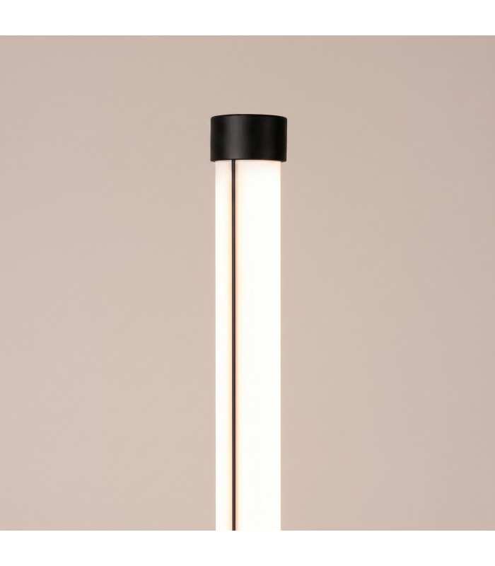 Trang LED Integrated Floor Lamp Black 3000K-4