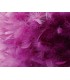 Feather Shade Aubergine 250mm x 180mm - 4