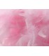Feather Shade Pink 250mm x 180mm - 4