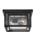 Republic 2 Light Small Flush Lantern Black IP44-7
