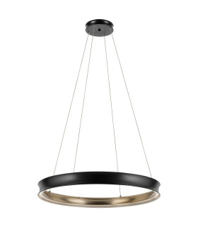 Larousse Integrated LED Large Pendant Light Black & Brass 2637K-1
