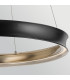 Larousse Integrated LED Large Pendant Light Black & Brass 2637K-5