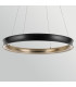 Larousse Integrated LED Large Pendant Light Black & Brass 2637K-9