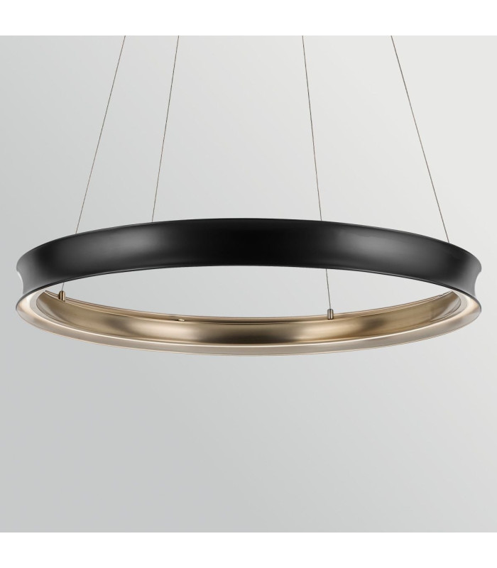 Larousse Integrated LED Large Pendant Light Black & Brass 2637K-9